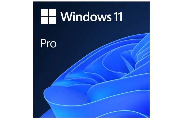 Windows 11 Professional 64 Bit OEM